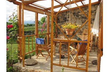 Slovēnija Privát Kobdilj, Eksterjers